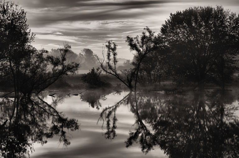 dawn, sunrise primordial, Jeff Harold