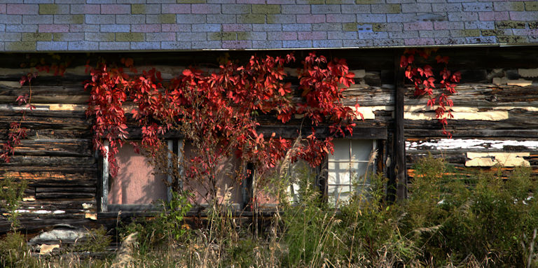 barns, autumn, Jeff Harold